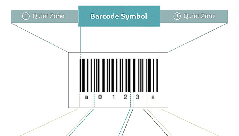 How to Eliminate Manual Entry of Product Information & Facilitate Instant Updates on Stock?