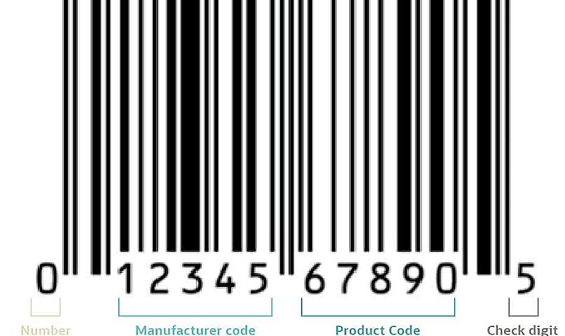 How to Eliminate Manual Entry of Product Information & Facilitate Instant Updates on Stock?