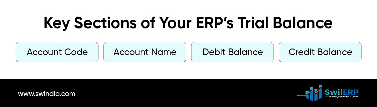 How to Read a Trial Balance in ERP Without Being a CA