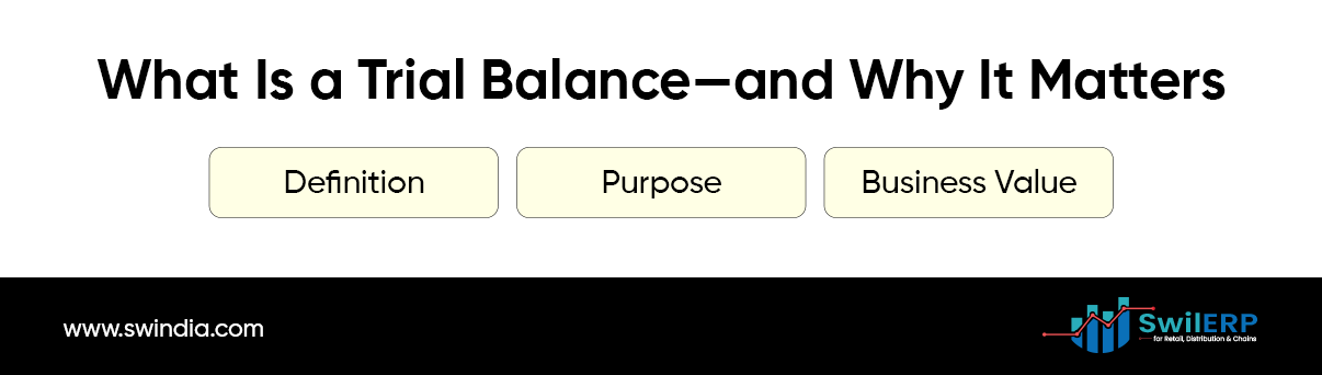 How to Read a Trial Balance in ERP Without Being a CA